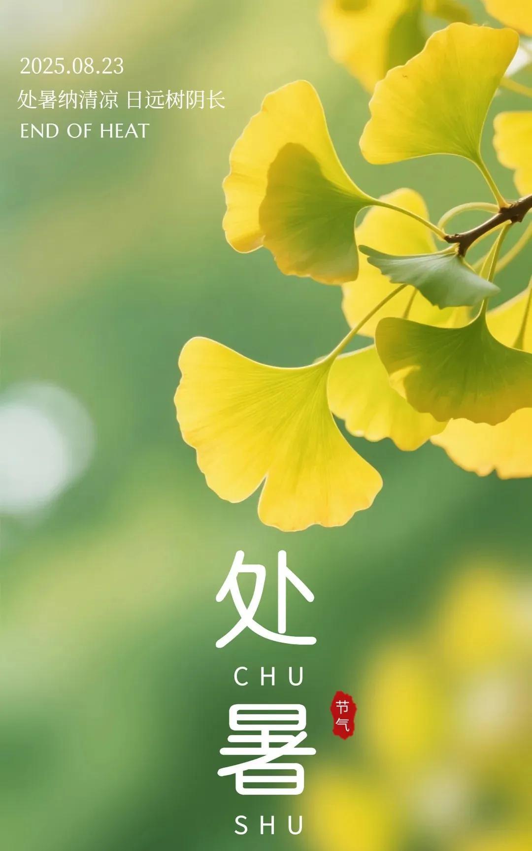 《处暑吟（一）》处暑初临暑气收，云笺漫卷映清秋。风梳黛岭千峰瘦，露染丹枫万壑