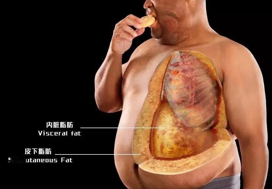 很多人以为运动时越累、出汗越多，减脂效果就越好。比如大汗淋漓的跳操，感觉脂肪在疯
