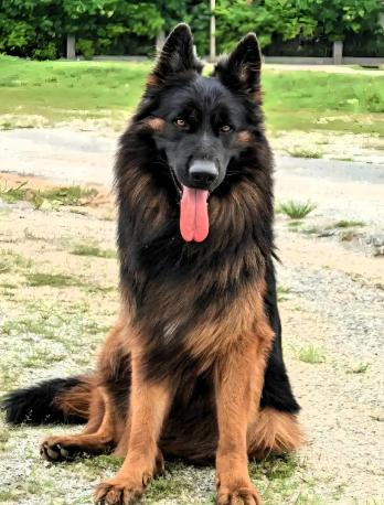 🌛“必须严惩！”山东籍女子一家到云南旅游，在服务区休息时，60多岁老母亲出