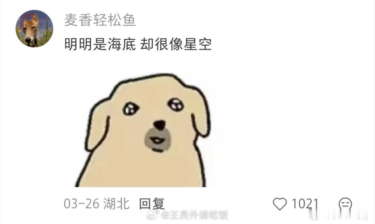 潜水人才懂的高光时刻（