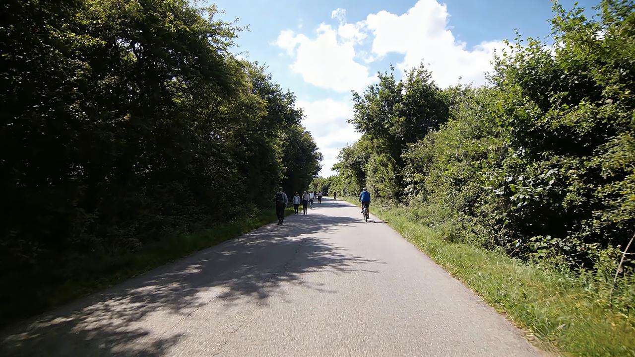 发现没？人这辈子的大彻大悟，从来不是靠听大道理听来的，全是实打实的经历摔出来的。