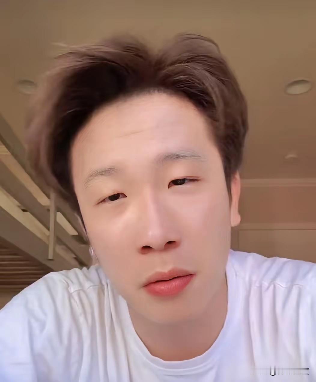 国乒和世界强队水平接近，有人埋怨樊振东把技术带去了国外！张向晶说:这其实是国