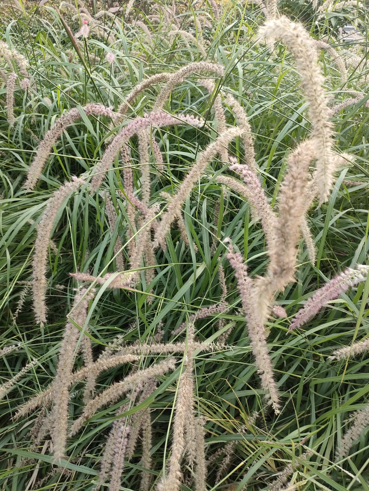 遇见过最尴尬的事上次同事约我下班喝奶茶，我嘴快说“要回家陪我妈”，结果下一