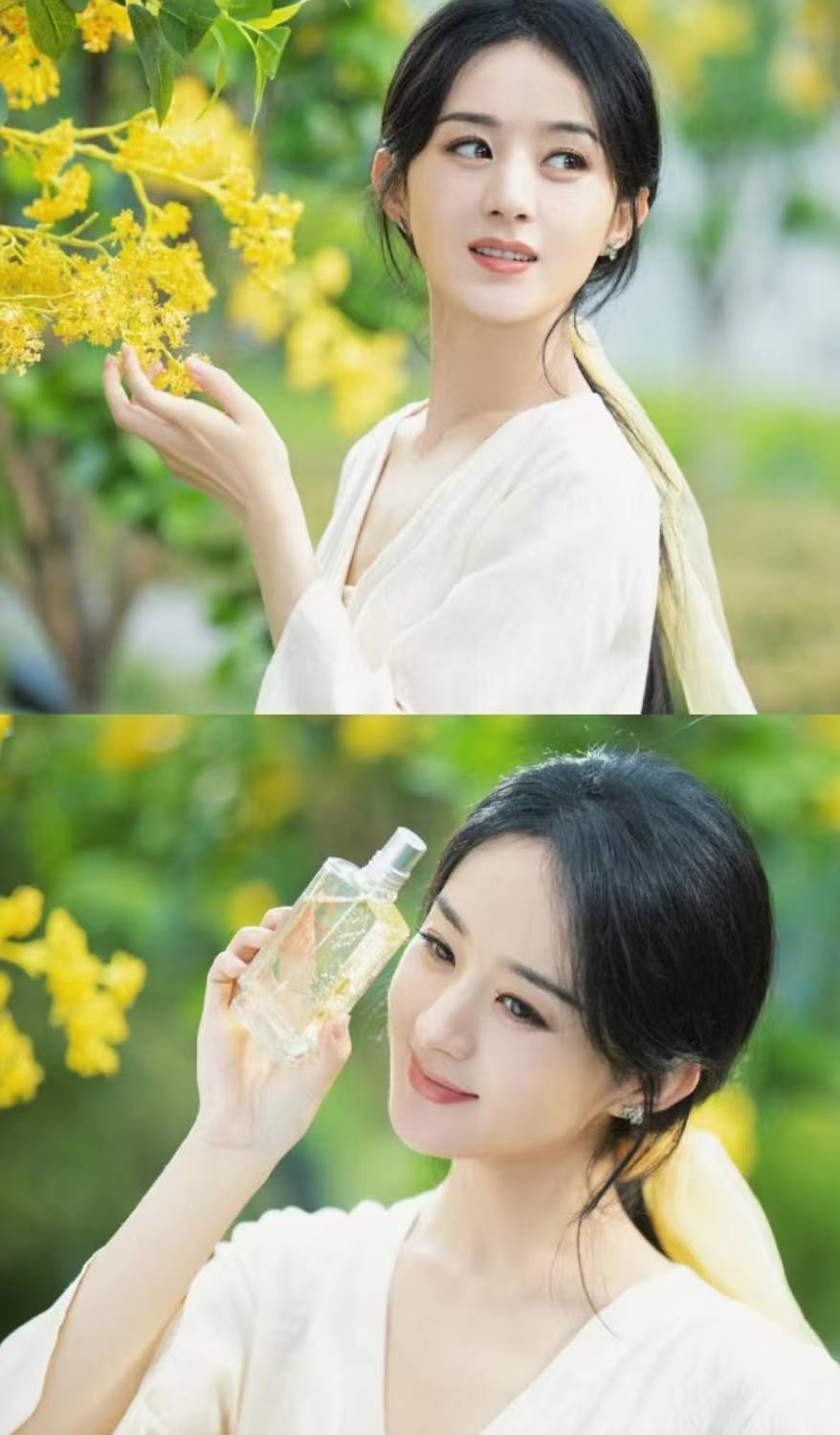 她从平凡走来，却在荧幕世界中绽放出格外的耀眼光芒！赵丽颖，一个用坚持书写传奇的演