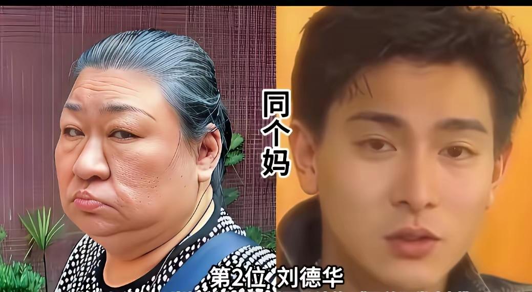 你们说刘德华的姐姐会不会恨她的父母亲呀，同一个爸同一个妈，为啥会生出截然不同的姐