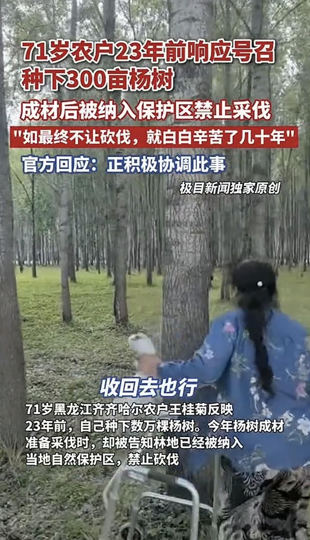 厉害了，一分钱不给就把300亩杨树划入保护区，农民有苦说不出！响应号召退耕还