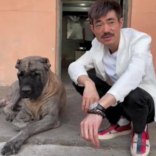 正当大家都认为阿四能够一直红下去的时候，一场风波悄然来袭。有博主曝光了他的“合作