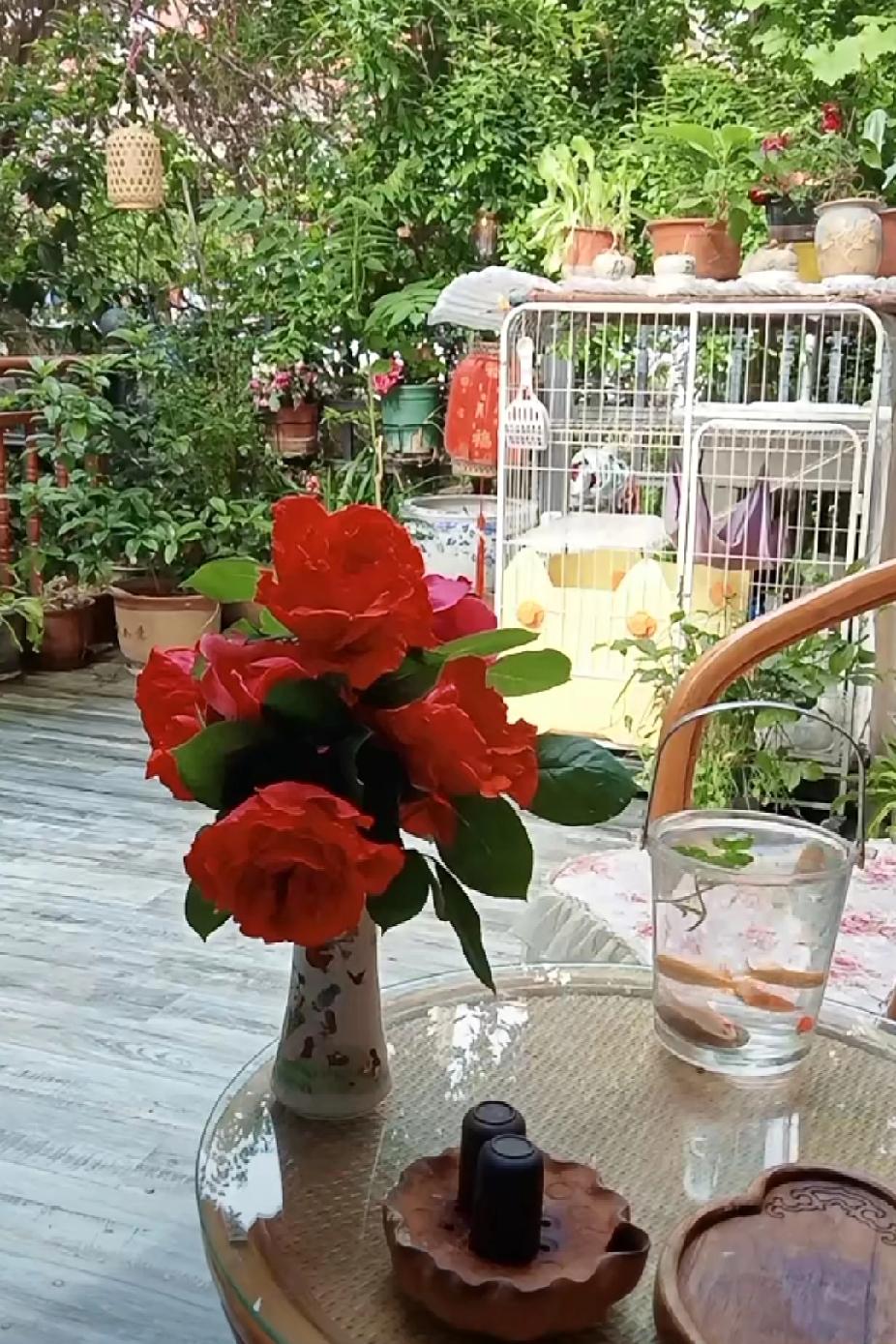 玩笑开的有点大！柴桑大姐许妈合同还有两年就跑了？大姐直播间从来不少讲故事扣字