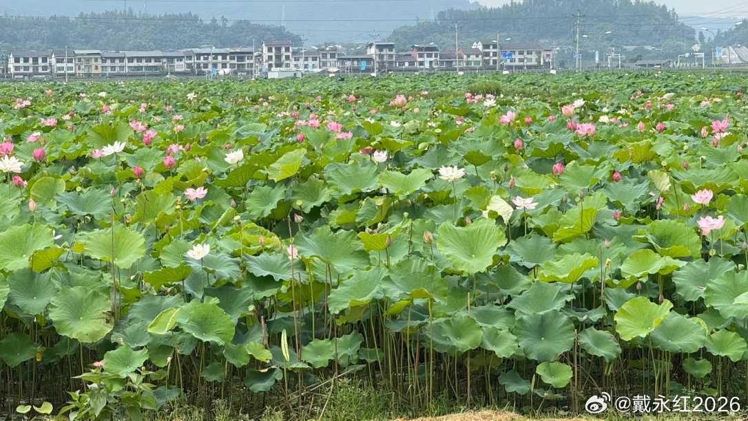 炒股之后，我对钱的感觉变了。以前买东西还会看看价格，贵了会犹豫一下。炒股之后，账