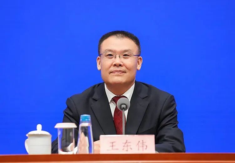 王东伟任安徽省代省长
