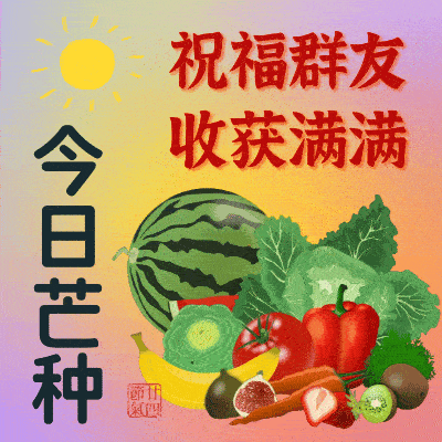 6月5日星期五 芒种节气 六月五日芒种至，各地沿袭多样节气风俗。北方