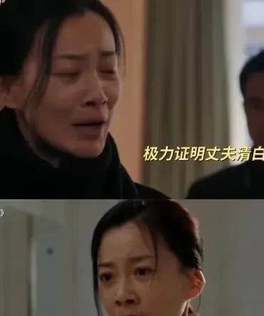 《以法之名》周梅太可怜了，乔振兴两眼一闭，自己解脱了，却害的老婆孩子背黑锅。东