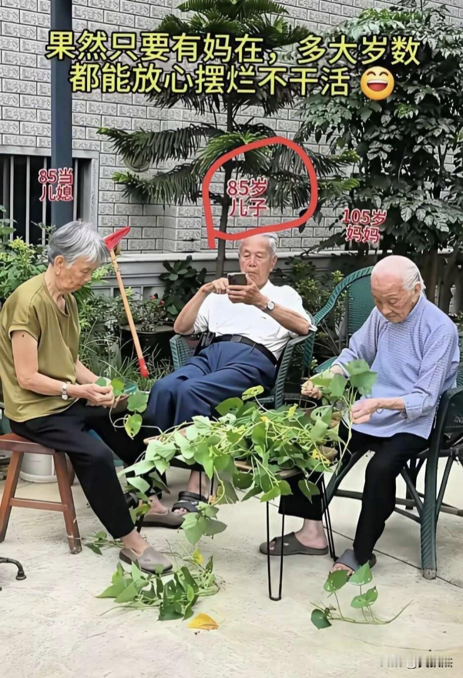 只要有妈在，85岁还是孩子玩手机呢！