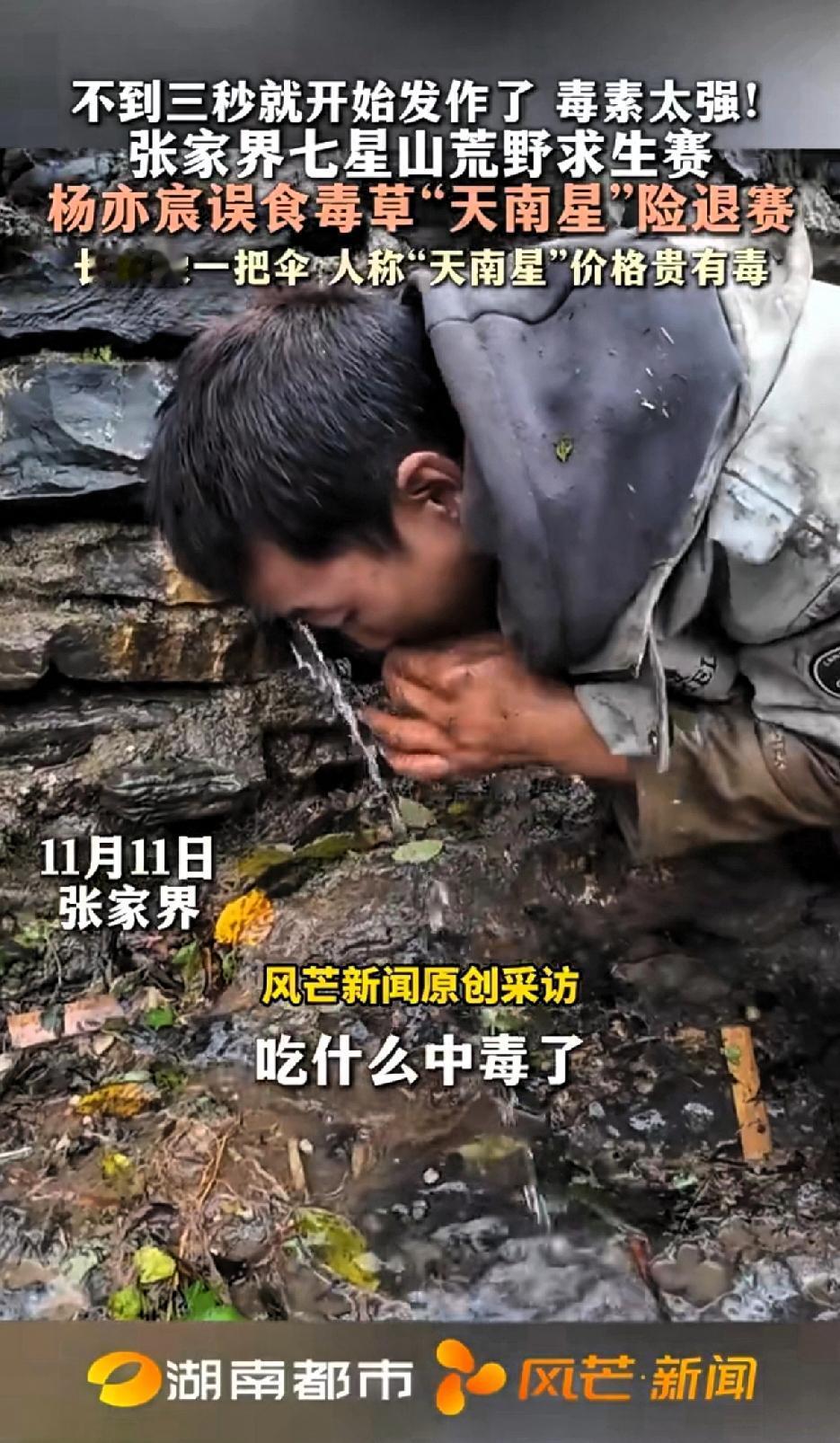 不到三秒就开始发作了！毒性太强！荒野求生比赛实力派选手杨亦辰误食毒草“天南星”