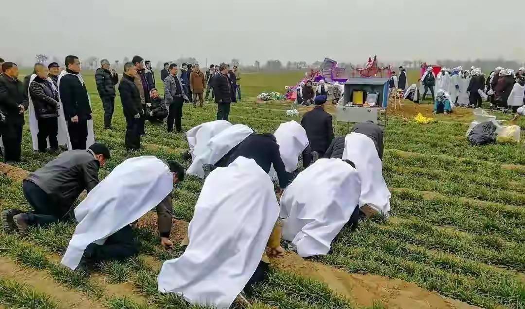 山东农村“一日葬”引发热议：上午离世下午下葬，子女连夜回城，这算不孝吗？近来，