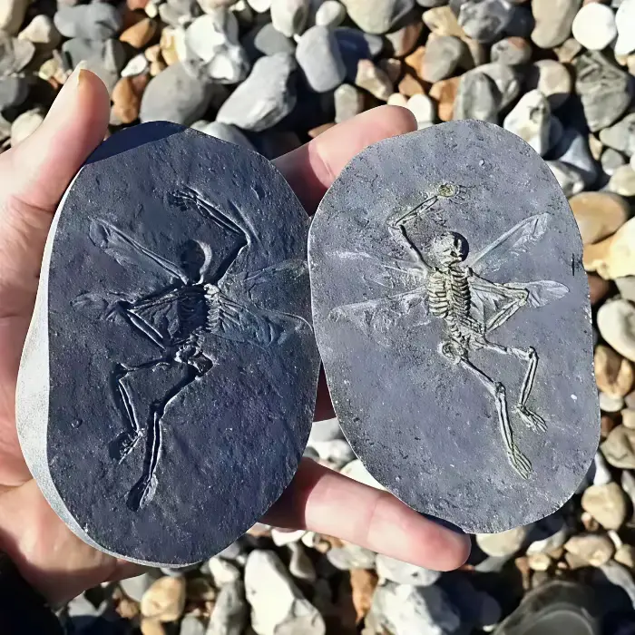 捡到一块石头，帮看看值钱不