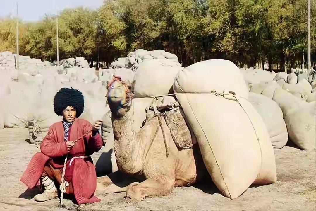 过境前一秒，所有人都在疯狂发消息。安排工作的，联系家人的，交代后事的——没错