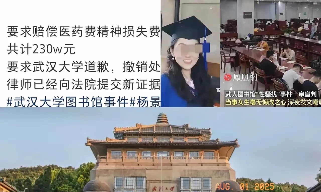 我就纳闷儿了！肖妈妈为啥只起诉了武汉大学，没有起诉杨某某？要知道，杨某某才是整个