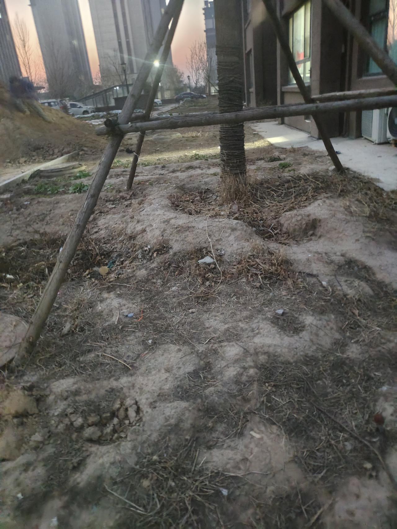 还有什么难以释怀呢？人的一生大致涵盖以下十二项内容：性生活：约4000次睡