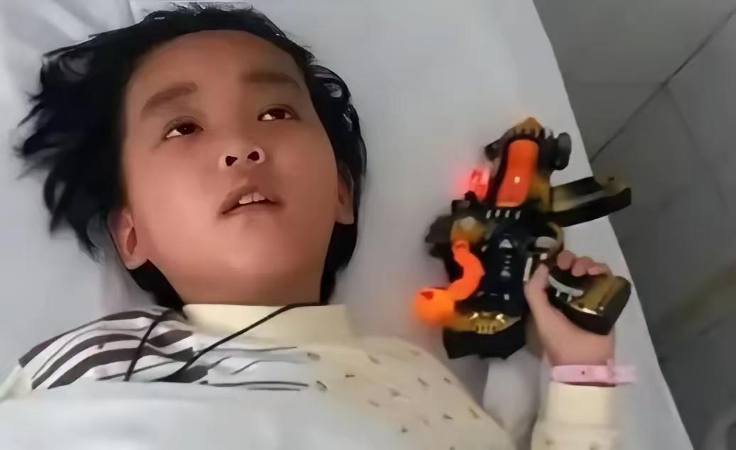 2014年，湖北周女士移植了自己7岁儿子的肾，最终重获新生，而她的儿子却离开了