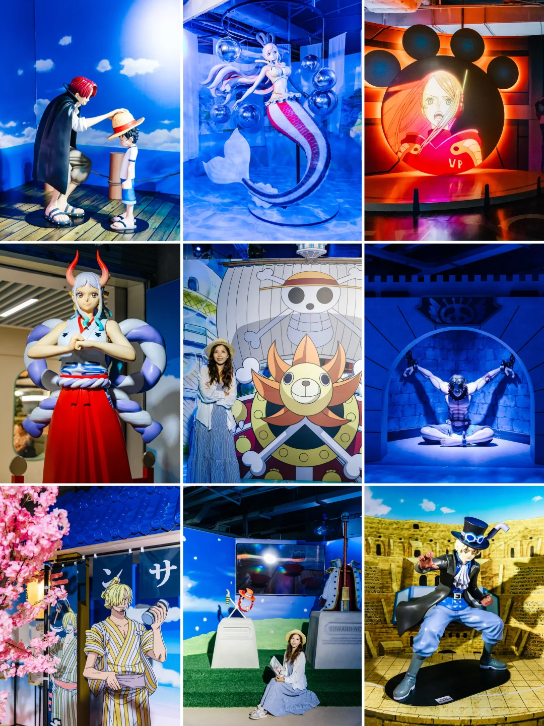 广州新展🔥 航海王巡展重磅登陆！海米集合‼️