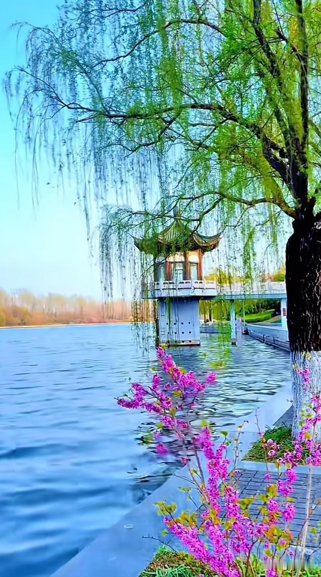 七律·今日谷雨谷雨今来润野塘，村墟处处事农桑。点瓜种豆田翁忙，摘叶烹茶村