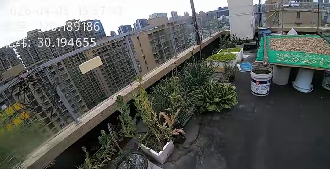 浙江杭州，一对夫妻在阳台上种了35支罂粟花，被小区保安巡逻时发现，马上报警了，民