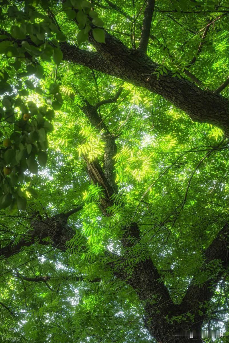 人到中年，最该读懂的道理，是好好爱自己。前半生，我们总在为家庭奔波、为工作