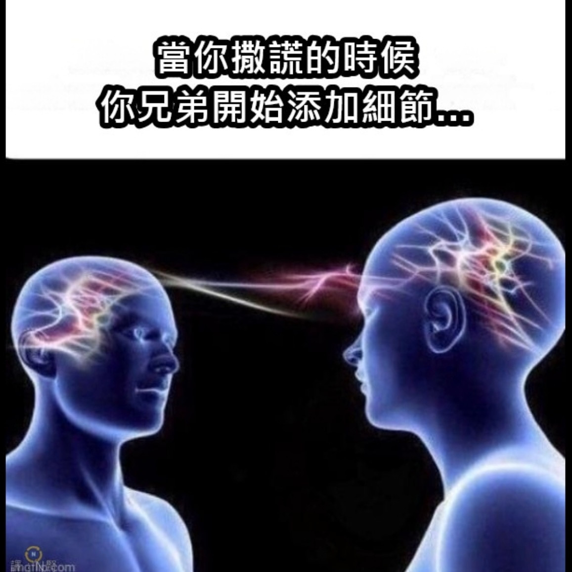 共鸣memes