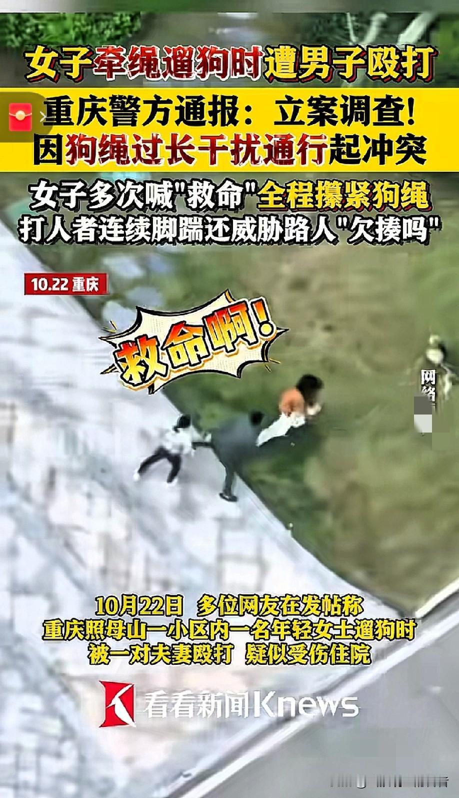 重庆遛狗纠纷升级暴力事件！女子遭殴打下体出血，施暴者疑为企业负责人欲私了遭拒
