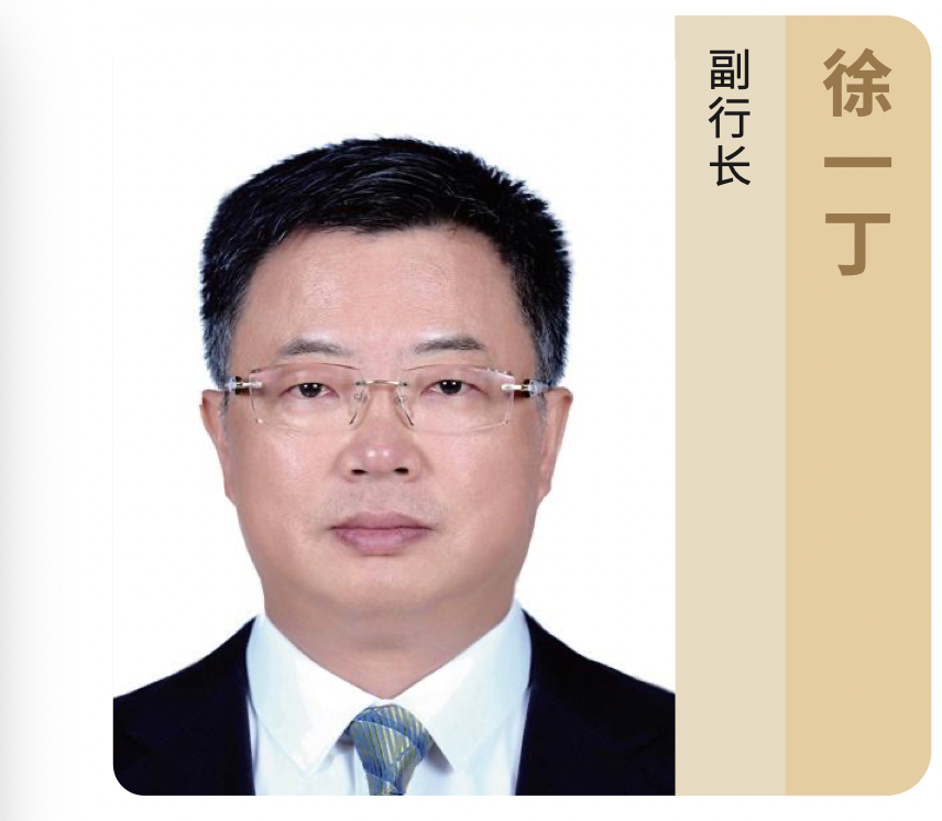 农发行副行长徐一丁被查！20年履职路曝光，近期反腐力度升级