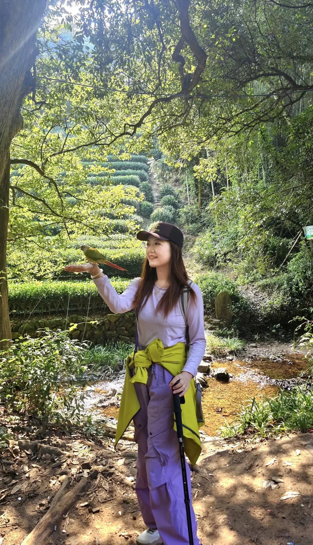 杭州赏秋|满觉陇🍂鸟赴桂🦜带鸟宝进山吸氧杭州真的太适合周末赏秋悠闲徒了[赞