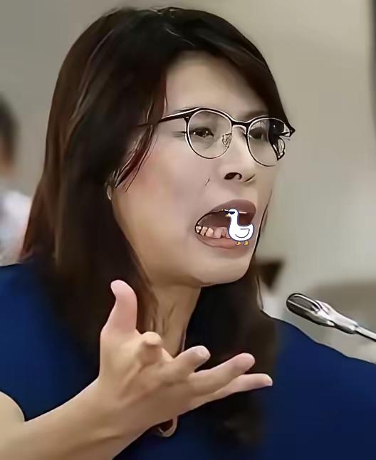 郑丽文扛着“反台独”硬刚，国民党却内讧到离谱！这哪是路线之争，分明是把民族大义当