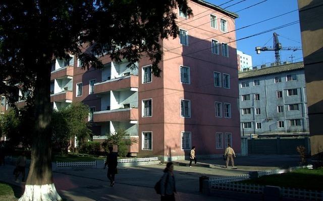 朝鲜没有流浪汉；朝鲜没有失业者；朝鲜没有乞丐；朝鲜没有假冒伪劣；作为世界上知名的