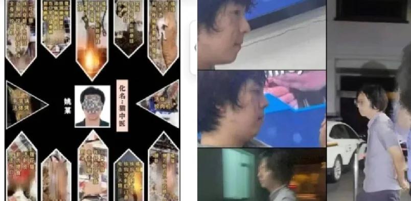 上海律师姚某所作所为，令人义愤填膺！8年间，他虐杀超4000只猫，手段包括绞肉机