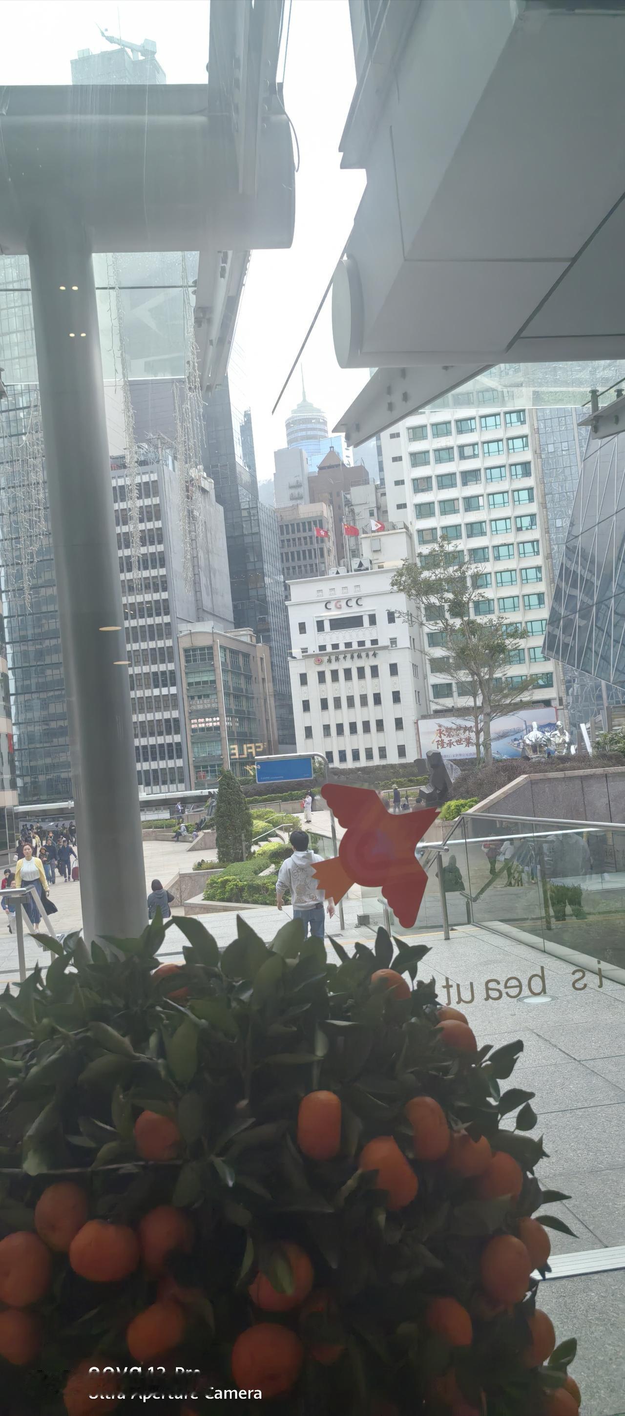 名校友逛一下母校半个学校领导都要陪同，这就是本事