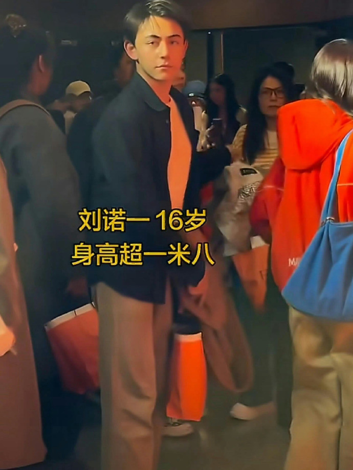 刘烨16岁儿子诺一颜值