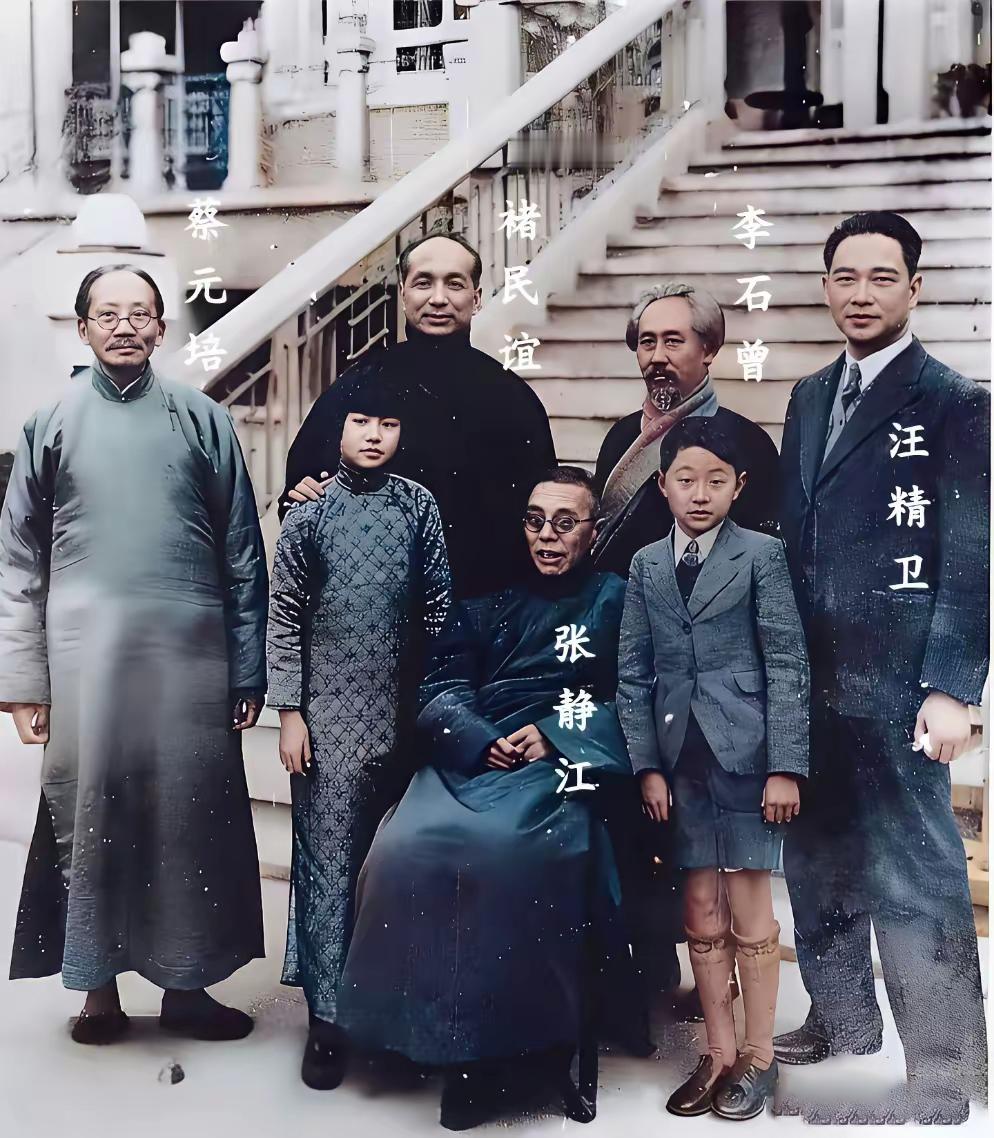 这张照片中的几个成年人，都是国民党的元老，其中有两个人，后来还成了大汉奸。最