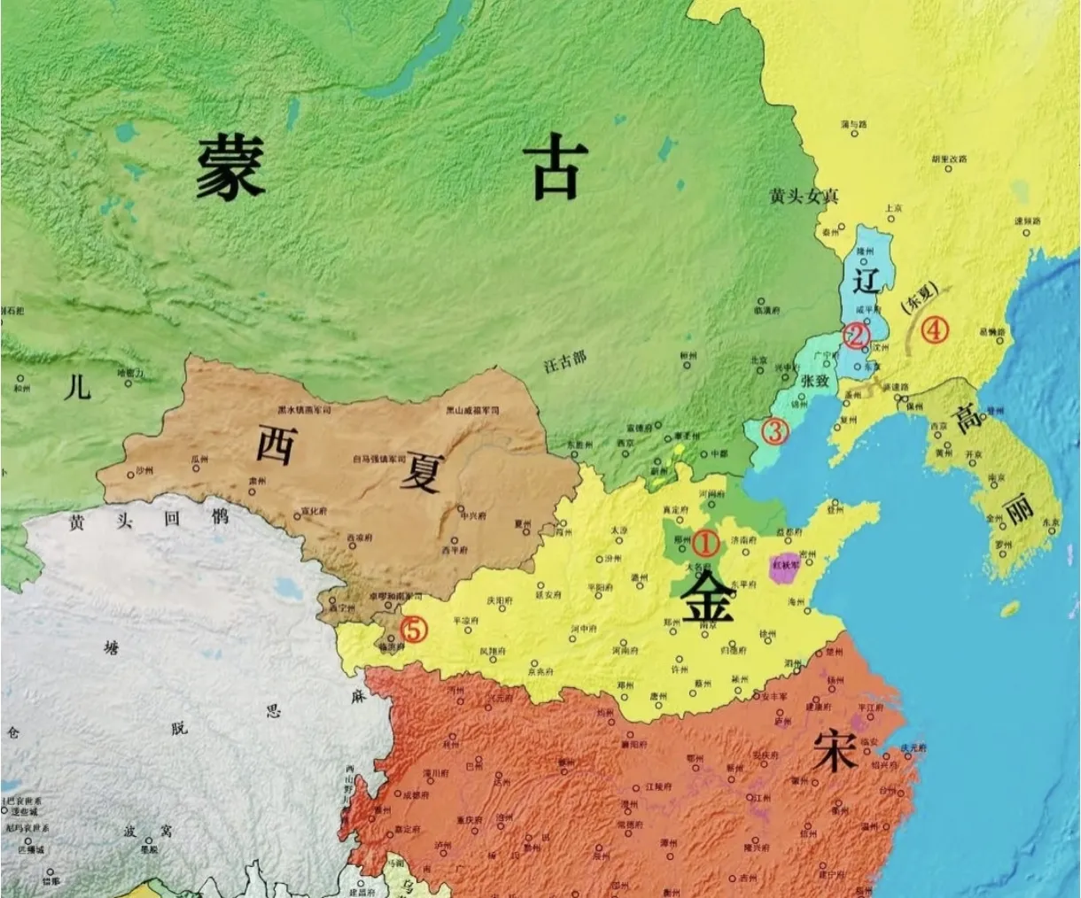 金朝最后的十年面对蒙古帝国的持续南侵和内部的重重危机，金王朝在最后十年迅速走向