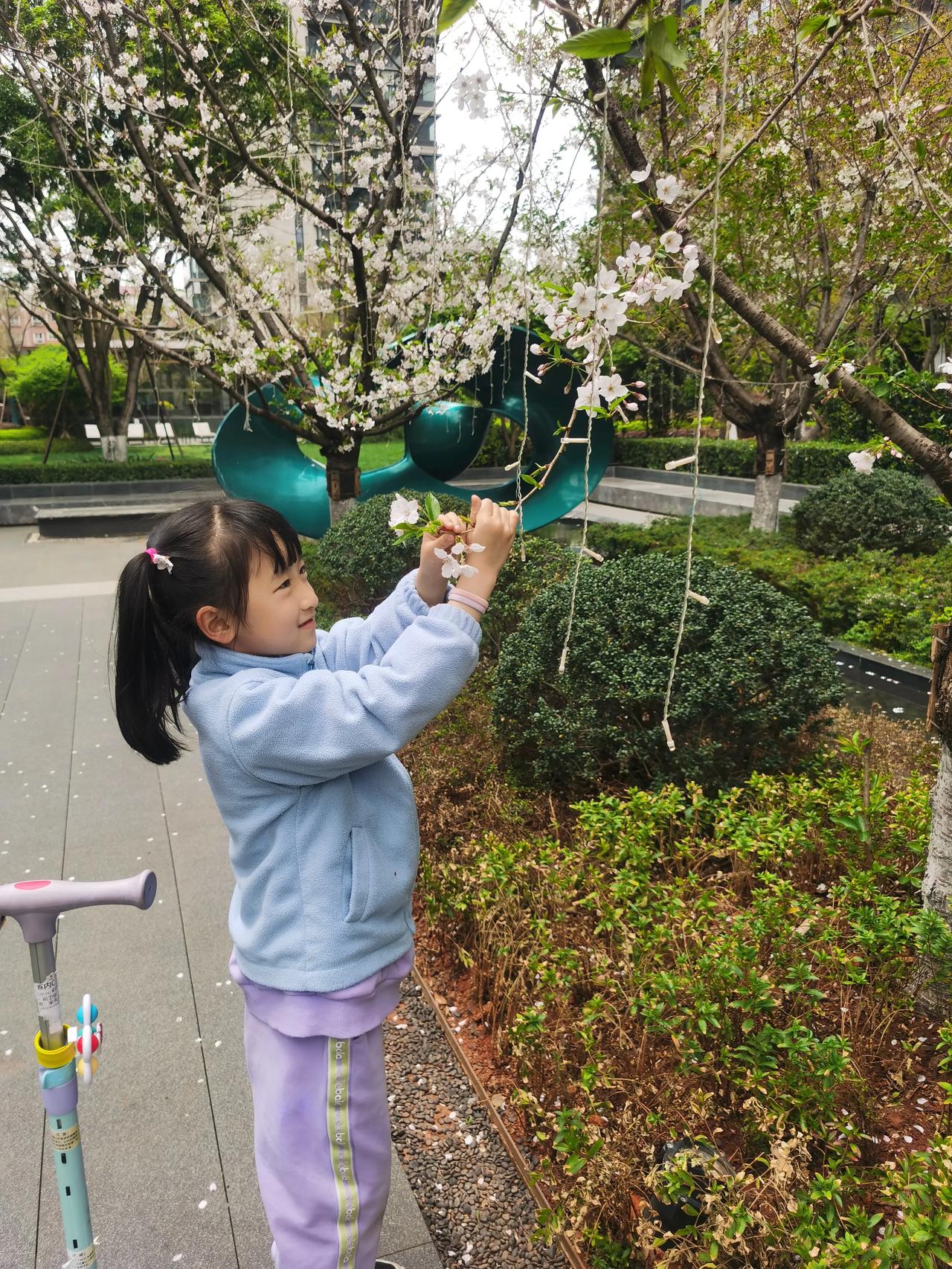 3月21日，我孙女出去玩耍，不小心电话手表丢了，回来后急的大哭，我儿媳就急忙打电