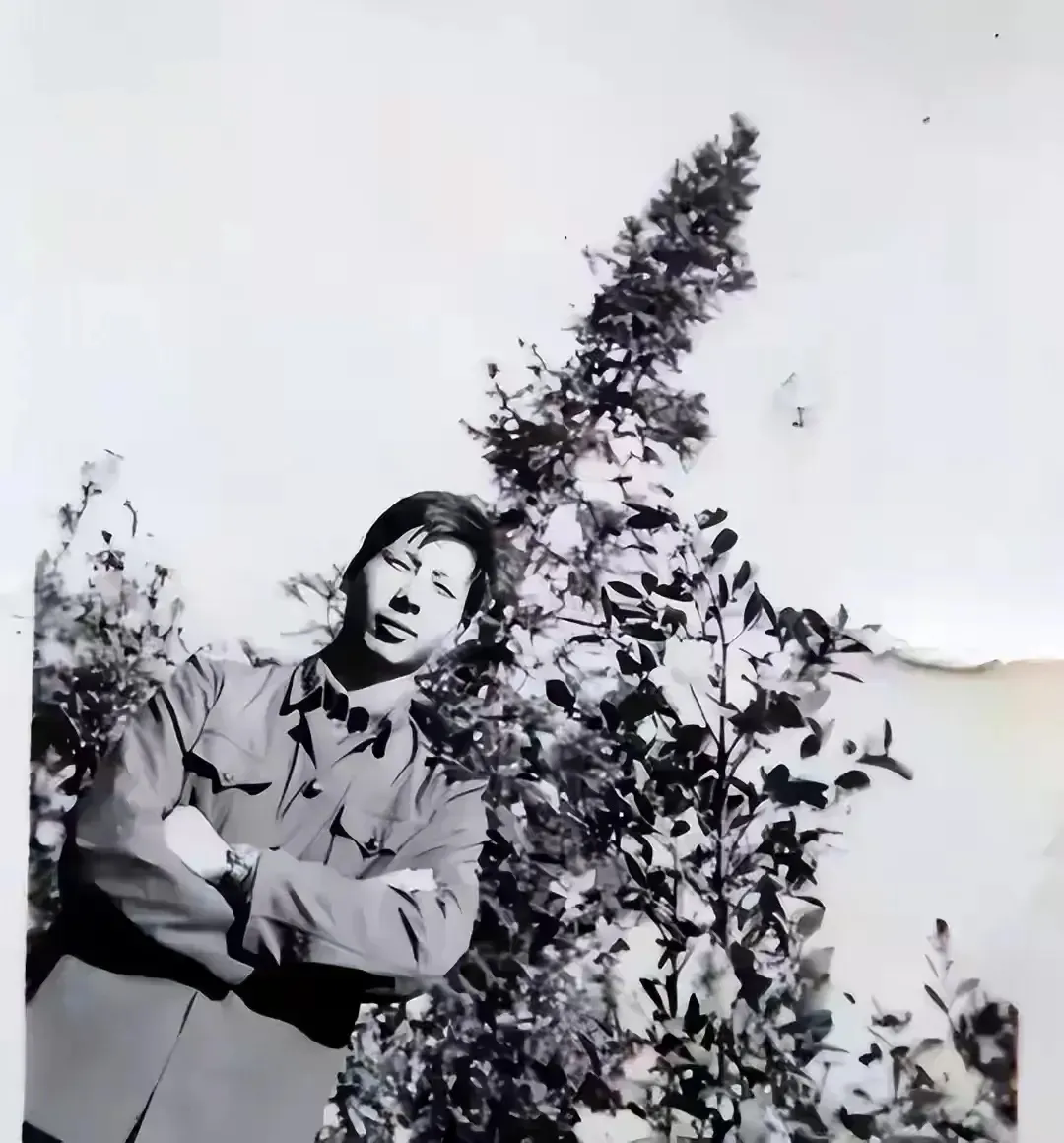 1979年，对越反击战中，何源海中弹牺牲，谁知两年后，他却活着回村，村民们一脸错