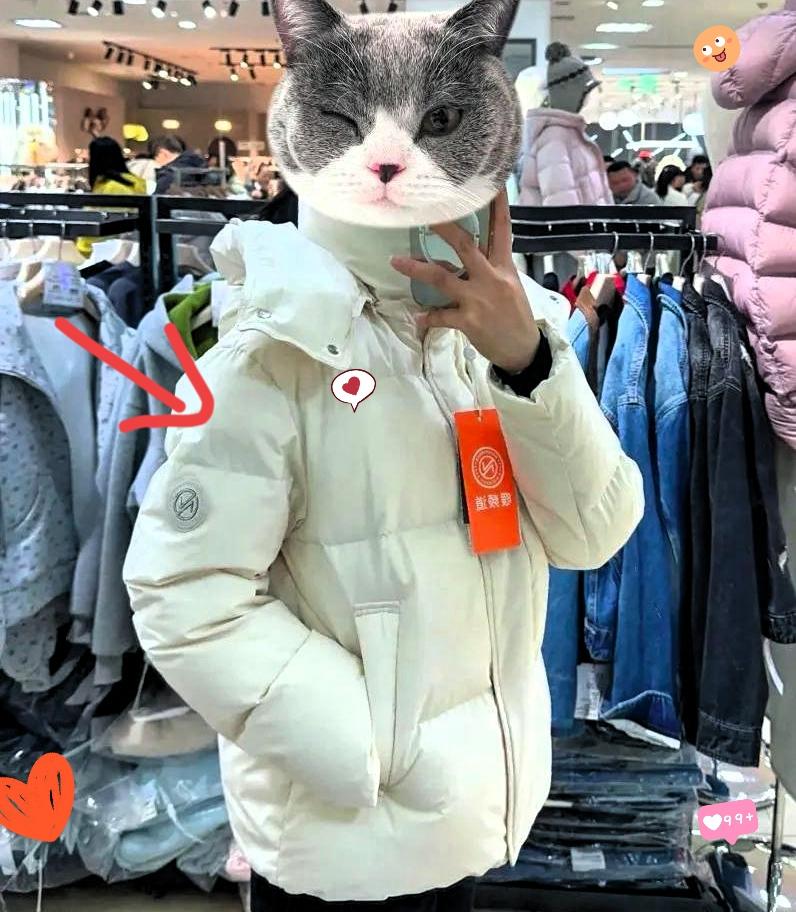 谁懂啊！朋友上个月冲胖东来随手买的256元羽绒服，直接把我对“低价好物”的认