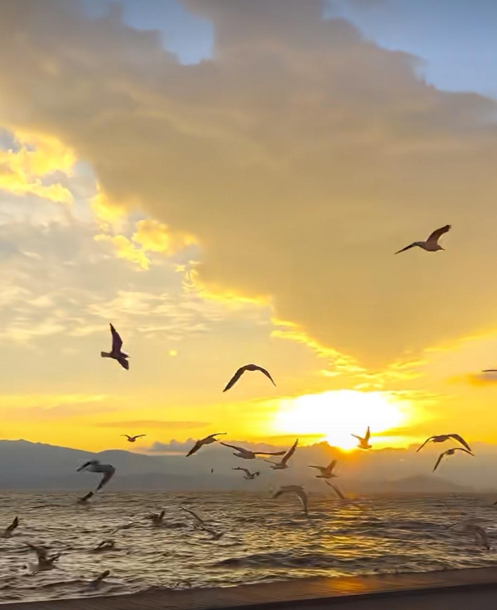 夕陽無限好，只是近黃昏。