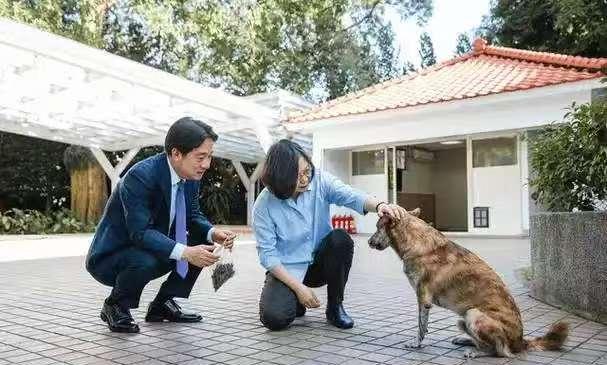 当地时间5月13日，蔡英文在哥本哈根出席民主高峰峰会表示，台湾省的存在是牵制中国