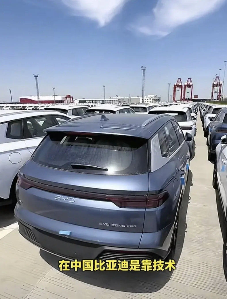 根本不望不到头，你们不是说，欧洲国家不看好新能源汽车嘛，根本没人买。只要你的东西