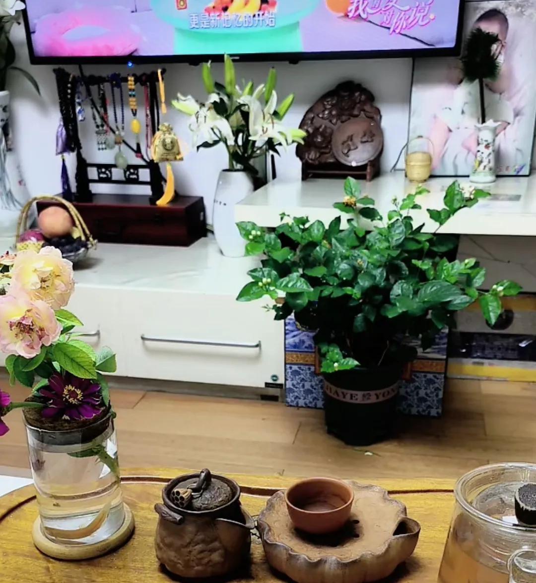 柴桑大姐揭开了15人小群的惊人秘密！有个录音：很多的亲粉，我也不知道那些个人