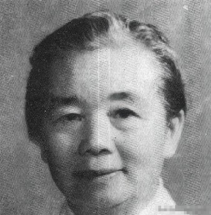 1939年，一个女人带着儿子千里寻夫来到了延安，却发现丈夫早已娶女将军为妻，更崩