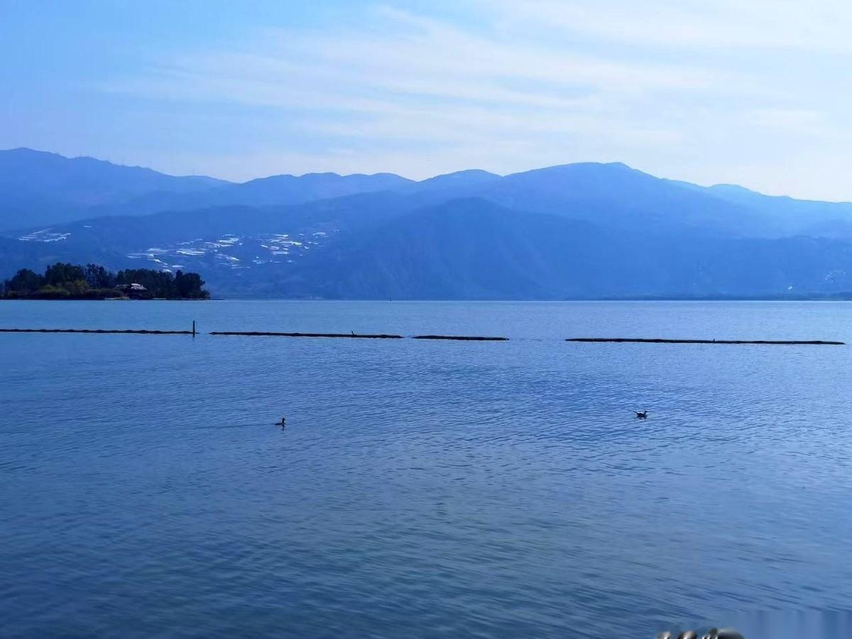 四岁的侄女悄悄拽我衣角，小声说：“奶奶好凶哦，使劲打爷爷。”我冲进那间闷着药味