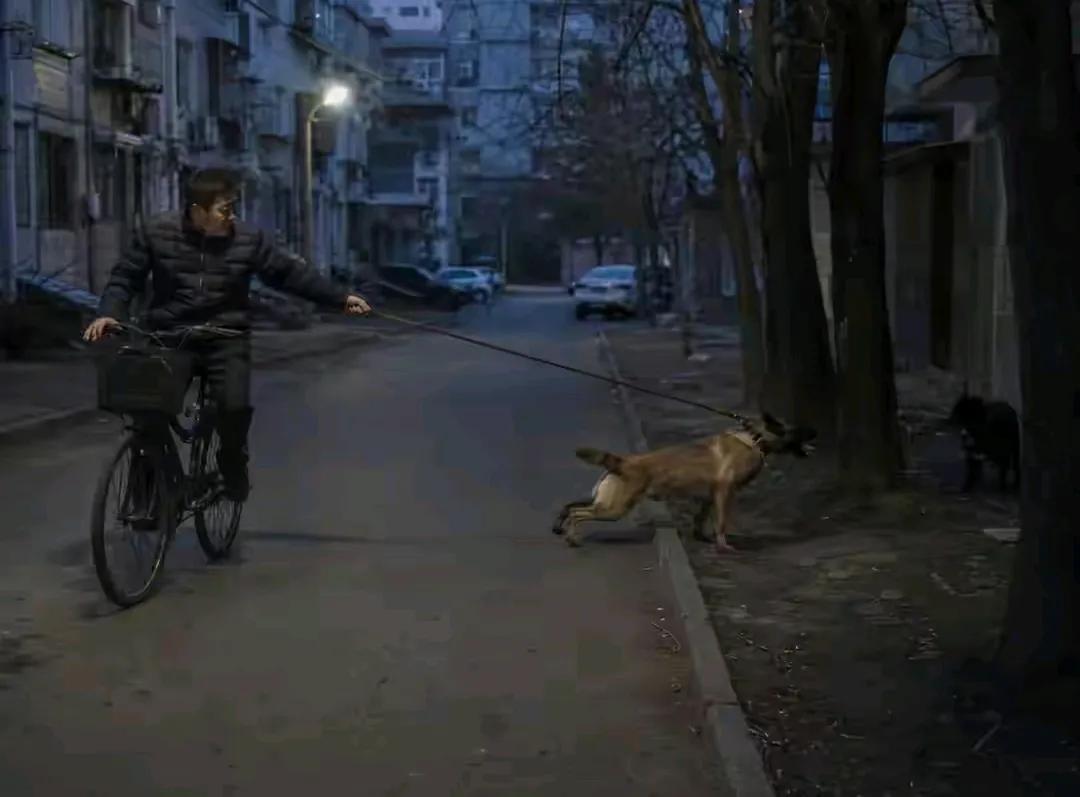 养狗人这下傻眼了，一绳遛狗狗又没碰到人，也没咬到人，结果还得要赔人家31万。最终