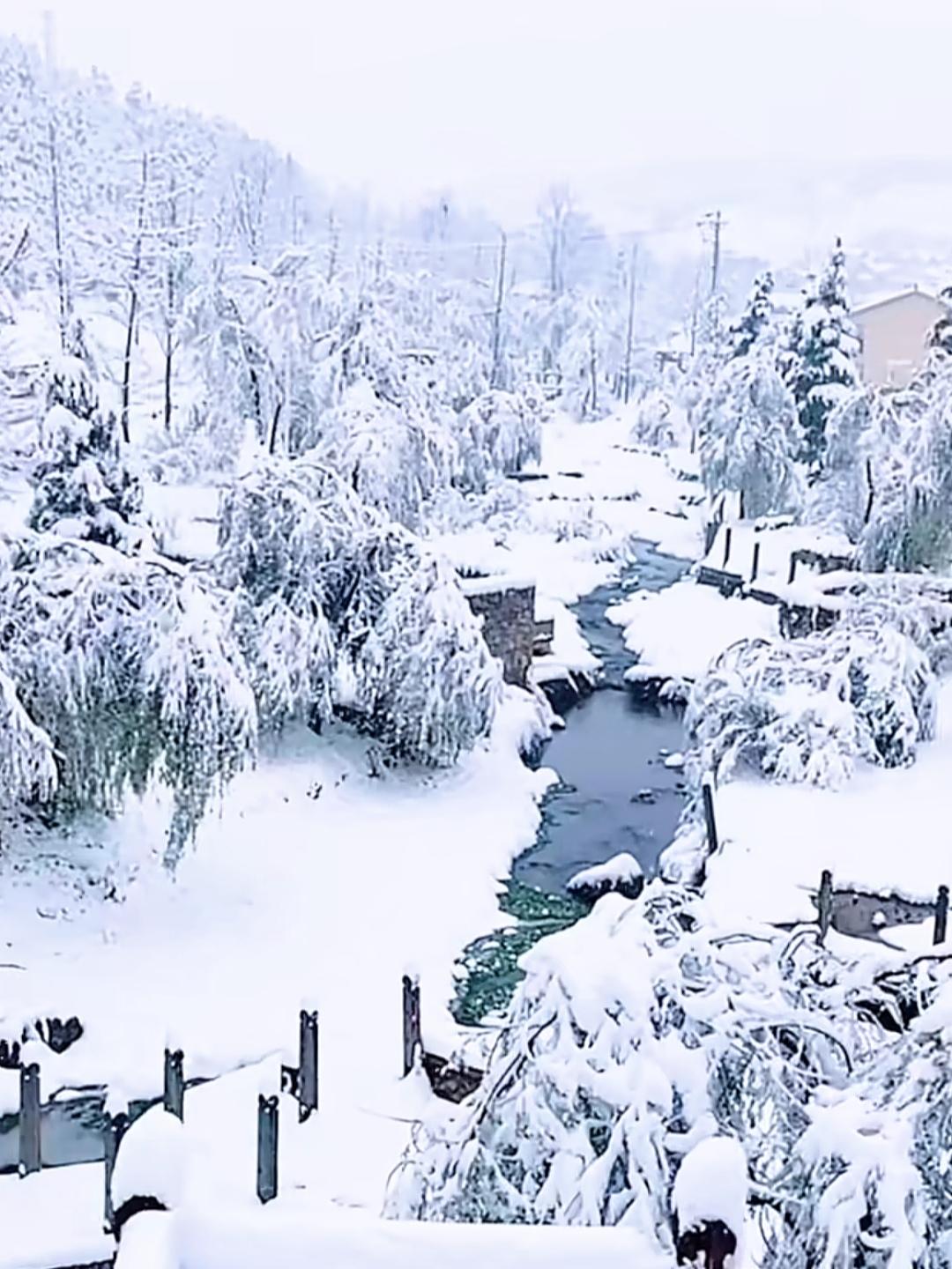 五一下大雪：全国短袖，云南昭通穿棉袄云南昭通大山包这雪下得，真是五一节的“奇